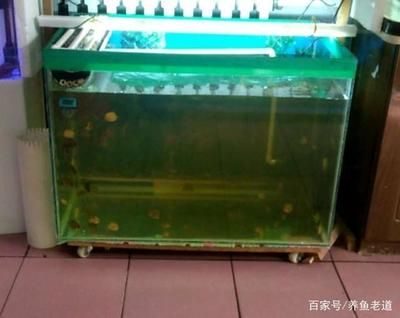 aquarium鱼缸过滤器安装图aquarium鱼缸过滤器安装图(鱼缸过滤器组装图)：鱼缸过滤器安装 鱼缸百科 第4张