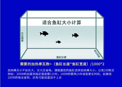 2米长的鱼缸多宽合适养鱼：2米长的鱼缸养多大合适 鱼缸百科 第1张