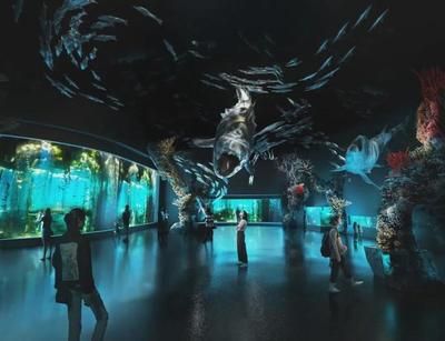 2024年国际水族展：中国国际宠物水族展览会(cips)