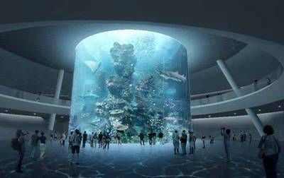 2024年国际水族展：中国国际宠物水族展览会(cips)