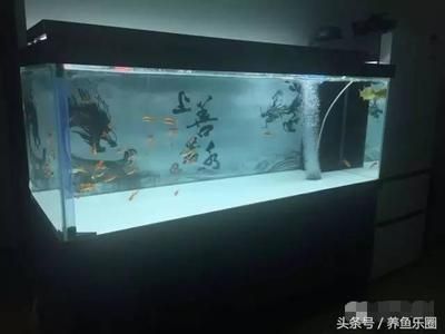 1号水族鱼缸使用说明书图片：1号水族鱼缸使用指导 鱼缸百科 第3张