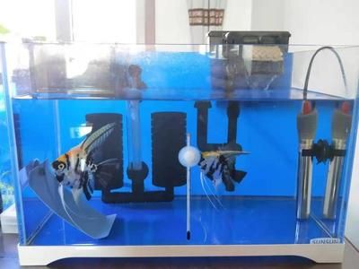 1号水族鱼缸使用说明书图片：1号水族鱼缸使用指导 鱼缸百科 第1张