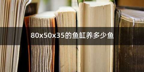 80x50的鱼缸适合养什么鱼：80x50的鱼缸适合饲养多种热带鱼和淡水鱼 鱼缸百科 第4张