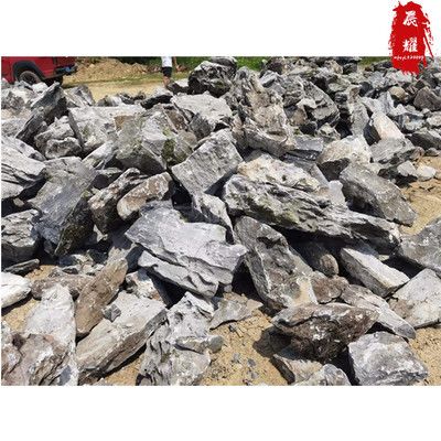 35厘米鱼缸青龙石造景图片：35厘米鱼缸青龙石造景 鱼缸百科 第3张