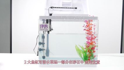 diy鱼缸背景：diy鱼缸背景贴纸是diy鱼缸背景的一种常见方式 鱼缸百科 第4张