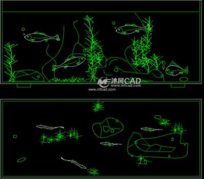 cad鱼缸平面图怎么画的好看视频：cad中绘制鱼缸平面图的基本步骤 鱼缸百科 第4张
