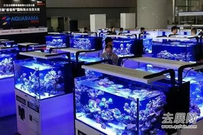 2024年广州水族展会时间：2024年广州国际水产养殖展渔博会2024年9月25日举办 鱼缸 第1张