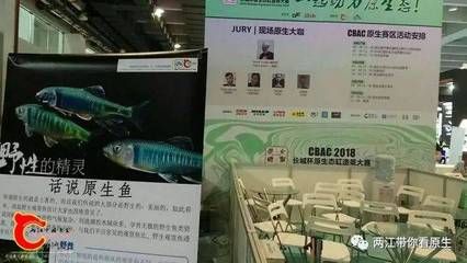 2024年广州水族展会时间：2024年广州国际水产养殖展渔博会2024年9月25日举办 鱼缸 第2张