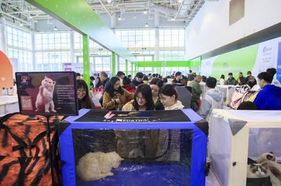 2024宠物水族博览会：2018中国山东国际宠物水族用品博览会概述 鱼缸百科 第1张