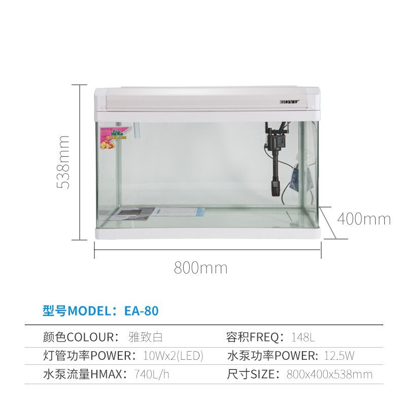 80鱼缸尺寸：80鱼缸尺寸怎么选择 鱼缸百科 第3张