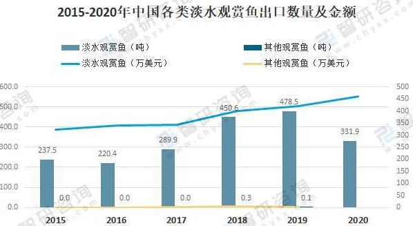 2020年观赏鱼市行情走势如何：2019年中国淡水观赏鱼市场需求影响产量大幅度下降