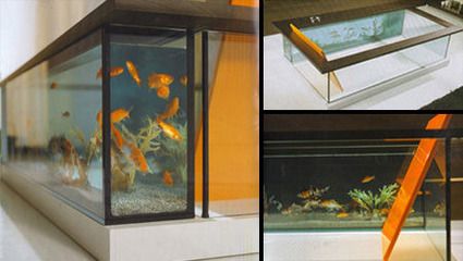 aquarium鱼缸怎样安装aquarium鱼缸怎样安装(aquarium鱼缸说明书)：]13.aquarium鱼缸安装教程360问答 鱼缸百科 第4张