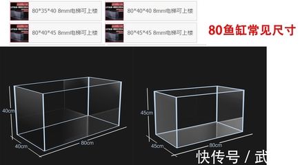 80长的鱼缸尺寸多大 鱼缸百科 第4张