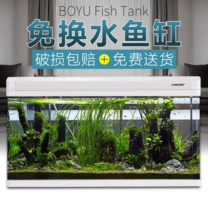 fishtank鱼缸咖啡：fishtank鱼缸咖啡厅 鱼缸百科 第3张