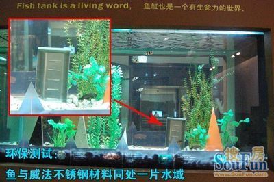 fishtank鱼缸咖啡：fishtank鱼缸咖啡厅 鱼缸百科 第1张