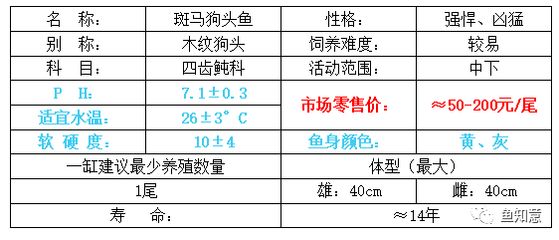 1米长鱼缸多高多宽合适：1米长的鱼缸在尺寸上有一定的标准和建议和建议 鱼缸百科 第1张