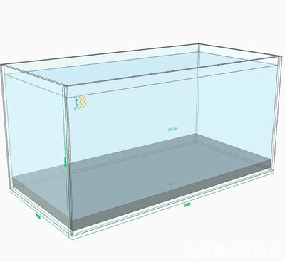 350200220的鱼缸可以养多少鱼：350*200*220的鱼缸能养多少条金鱼 鱼缸百科 第2张