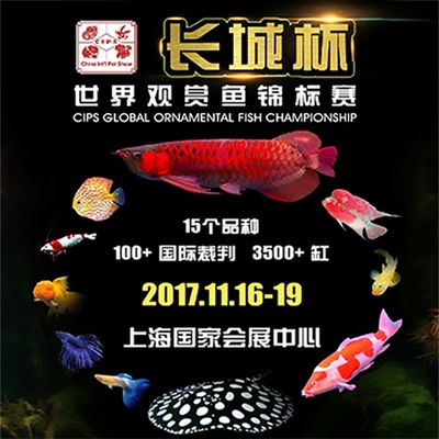 2024年长城杯水族展会时间表：2024年长城杯水族展会时间表2024年长城杯水族展会时间表 鱼缸百科 第2张