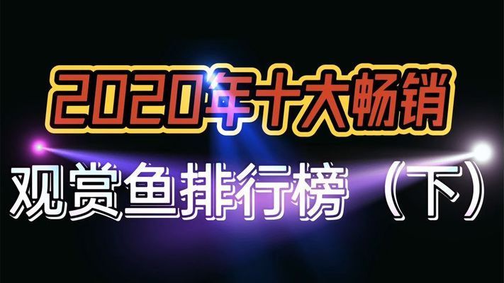 2020年流行养什么观赏鱼：2020年流行养什么观赏鱼2020年流行养什么观赏鱼 鱼缸百科 第1张