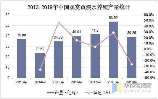 2020年流行养什么观赏鱼：2020年流行养什么观赏鱼2020年流行养什么观赏鱼 鱼缸百科 第3张