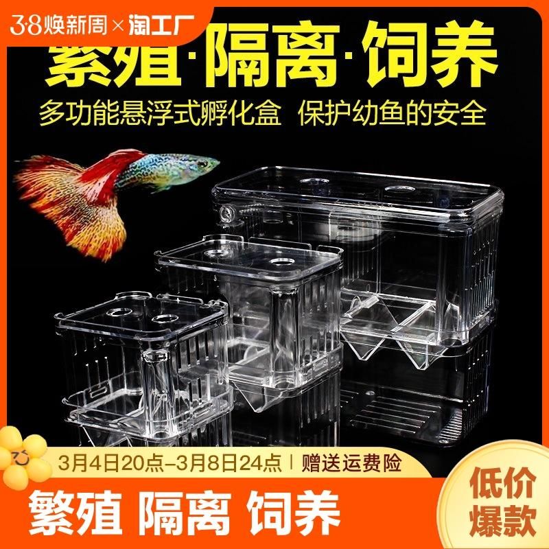 diy鱼缸隔离盒：diy鱼缸隔离盒的制作方法 鱼缸百科 第4张