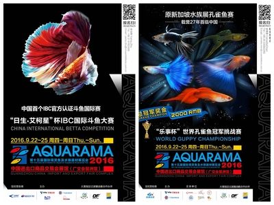 2024广州水族展会时间地点：2024广州水族展会时间和地点