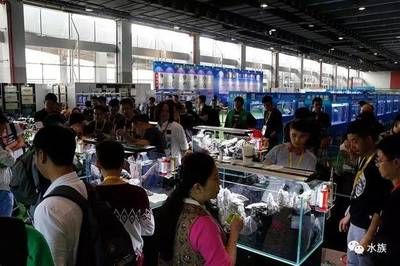 2024广州水族展会时间地点：2024广州水族展会时间和地点 鱼缸 第2张