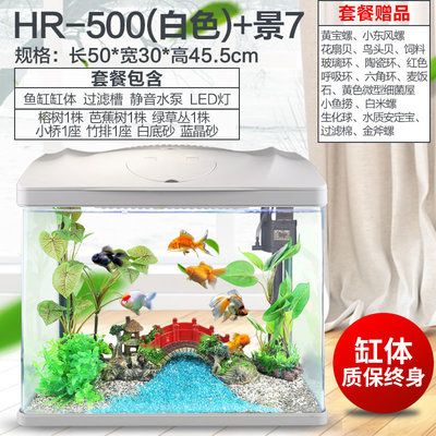 800长350宽500高的鱼缸用什么过滤：鱼缸过滤器怎么选？ 鱼缸百科 第4张