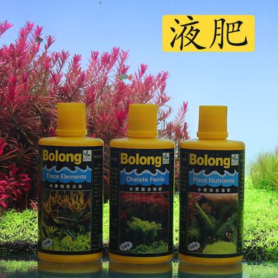 bolongshiyegs鱼缸价钱：bolongshiyegs官网宠物鱼缸价格 鱼缸百科 第4张