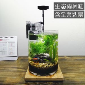 DIY生态鱼缸：diydiy生态鱼缸的步骤和注意事项 鱼缸百科 第4张