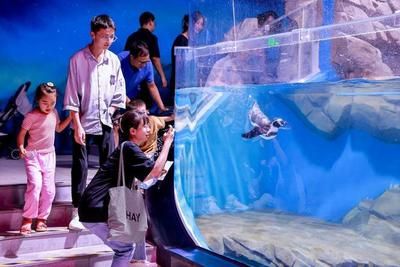 广州一方水族馆怎么样：广州一方水族馆位于荔湾区柳桥北路西朗观赏鱼博览中心10号