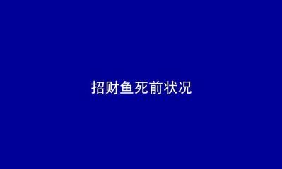 虎鱼白点病怎么治最有效：虎鱼白点病怎么治 速倍妥鱼粮鱼药 第3张