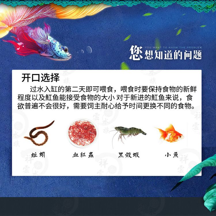 缸鱼或魟鱼怎么读：缸鱼或魟鱼怎么读，魟鱼和魔鬼鱼的区别在哪里 魟鱼百科 第2张