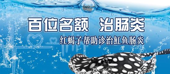 魟鱼肠炎怎么治疗能喂食吗：魟鱼肠炎怎么治疗 魟鱼百科 第1张