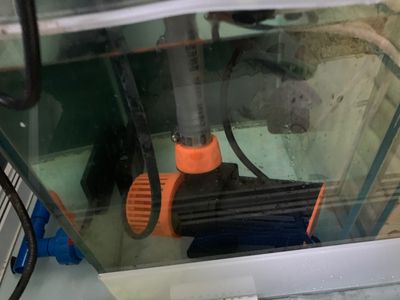 一方水族器材怎么样好用吗：一方水族器材在公司管理、企业文化、技术研发和市场认可度等表现