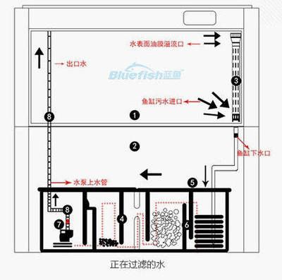 一方鱼缸水泵安装视频：一方鱼缸水泵安装视频教程如何安装一方鱼缸水泵 一方水族 第2张