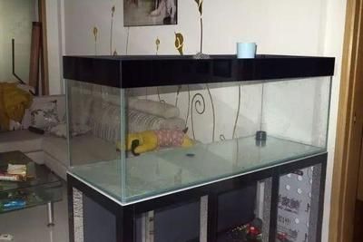1.2 米鱼缸几个厚玻璃：1.2米鱼缸几个厚玻璃 鱼缸 第1张