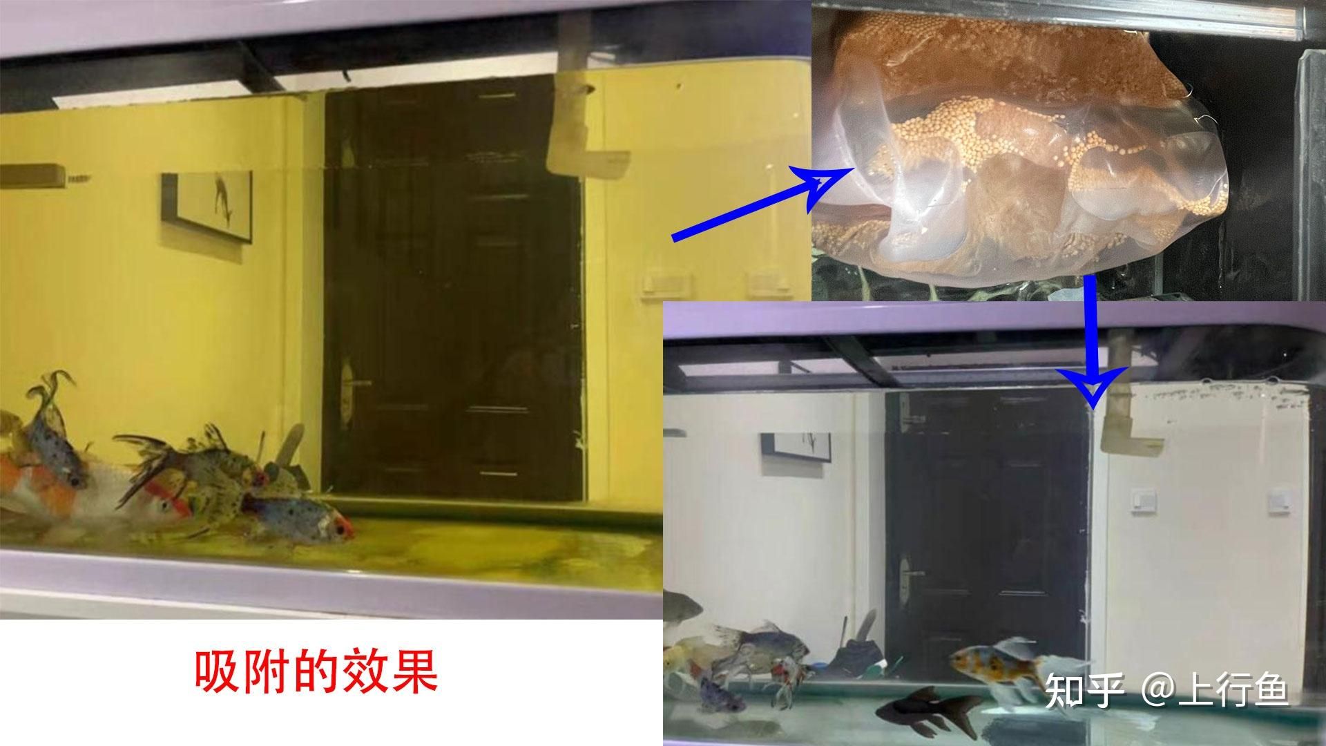 一方水族产品质量怎么样知乎：一方水族产品质量怎么样 一方水族 第3张