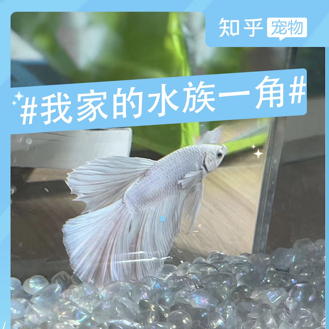 一方水族产品质量怎么样知乎：一方水族产品质量怎么样