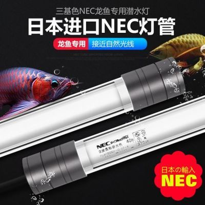 红龙发色灯用马印还是nec好用呢：红龙发色灯用马印还是nec好用 马印水族 第4张