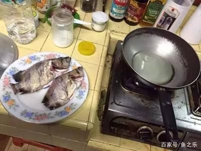 泰国虎鱼怎么吃最好：泰国虎鱼的最佳喂食方式 泰国虎鱼 第2张