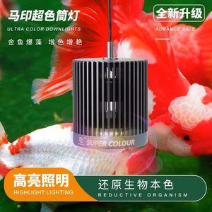 马印神灯可以潜水吗：马印神灯是一款专为水族箱设计的照明设备 马印水族 第2张