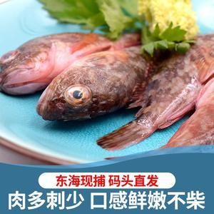 小虎头鱼怎么做好吃：小虎头鱼怎么做好吃小虎头鱼的烹饪方法