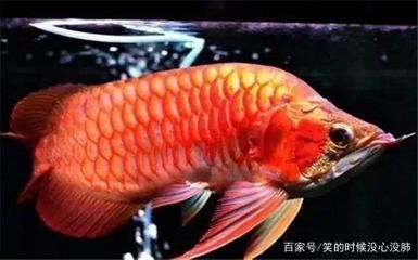 彩蝶鱼缸干湿分离盒电源多少v：彩蝶鱼缸干湿分离盒电源多少v对不起，根据给定的搜索结果