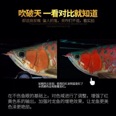 博特水泵无法启动什么原因引起的：博特水泵无法启动什么原因引起 博特水族 第4张