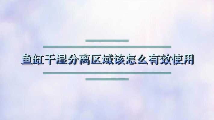 元宝凤凰都有哪几个品种图片及价格：元宝凤凰图片及价格 进口元宝凤凰鱼 第3张