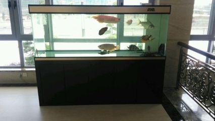彩蝶鱼缸玻璃厚度标准：如何选择彩蝶鱼缸的玻璃厚度 彩鲽鱼缸（彩蝶鱼缸） 第1张