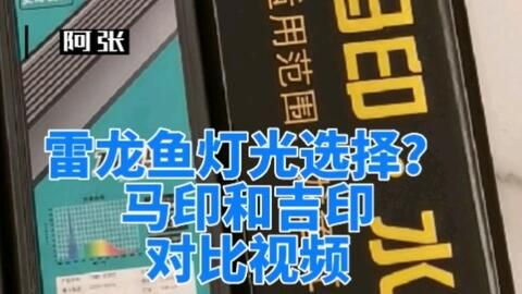 马印和吉印对比哪个好看一点：“马印和吉印对比哪个好看一点”马印和吉印对比哪个好看一点 马印水族 第2张