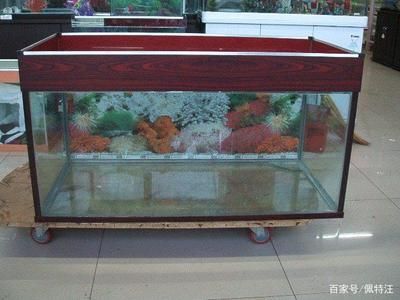 1米8鱼缸用多厚的玻璃胶好：1米8长的鱼缸用多厚的玻璃胶好？ 鱼缸 第1张