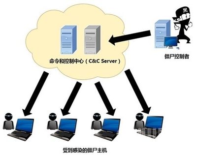 博特英语名字：博特英语名字怎么取？